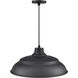 R Series 1 Light 20 inch Satin Black Outdoor Pendant